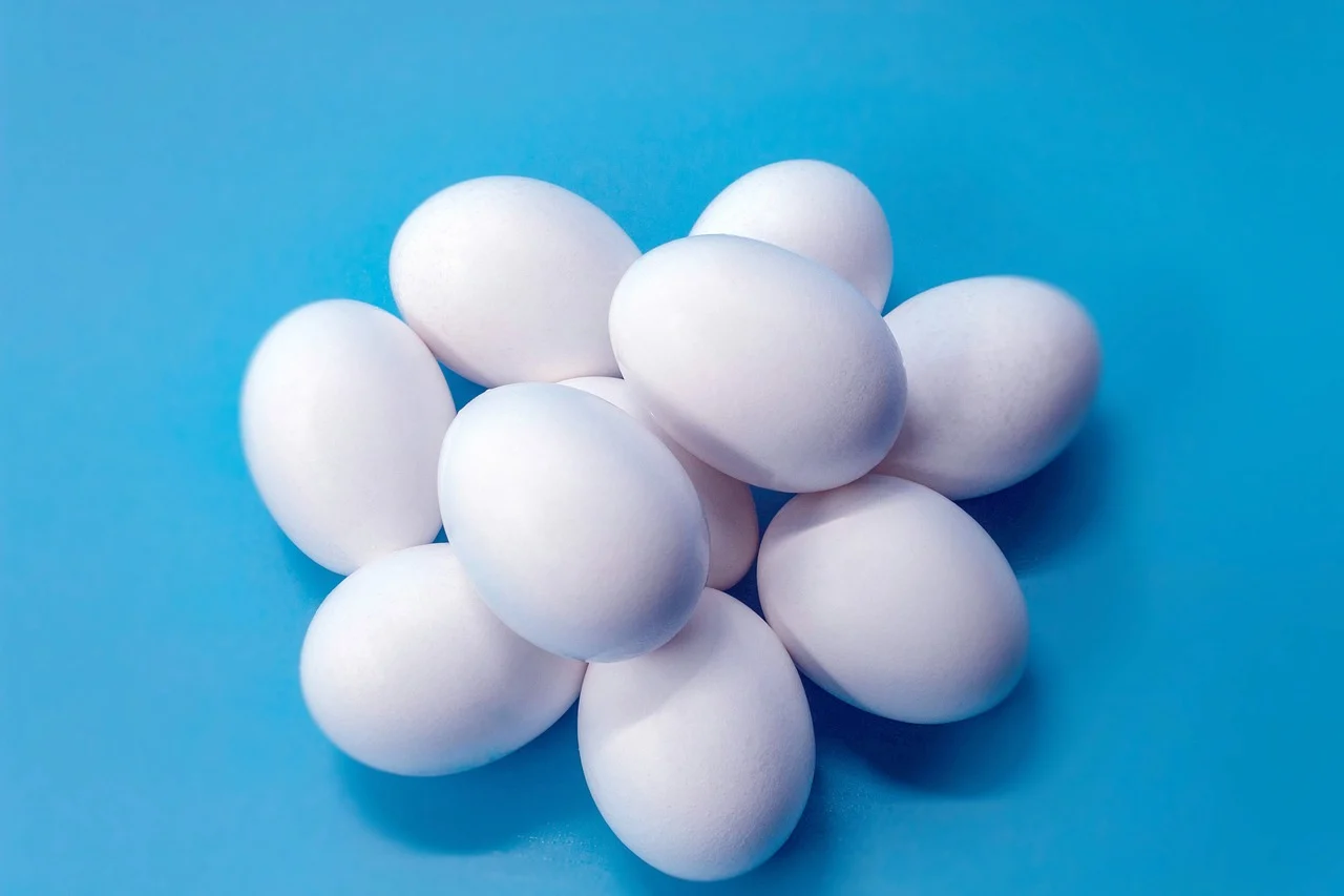 eggs