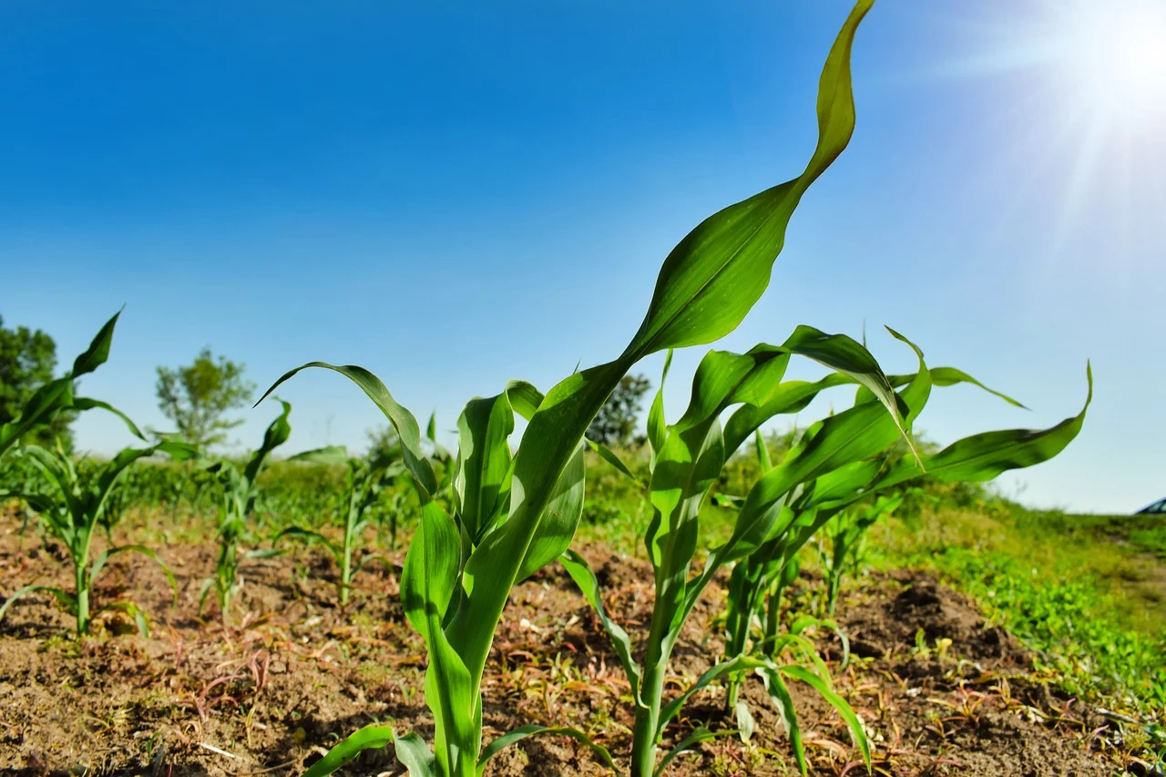 credite pentru investitii in agricultura