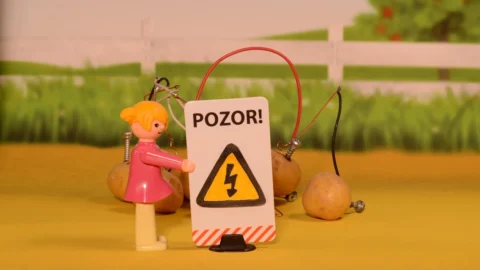 daunatorii verzei