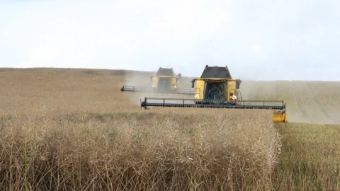utilizarea apei in agricultura