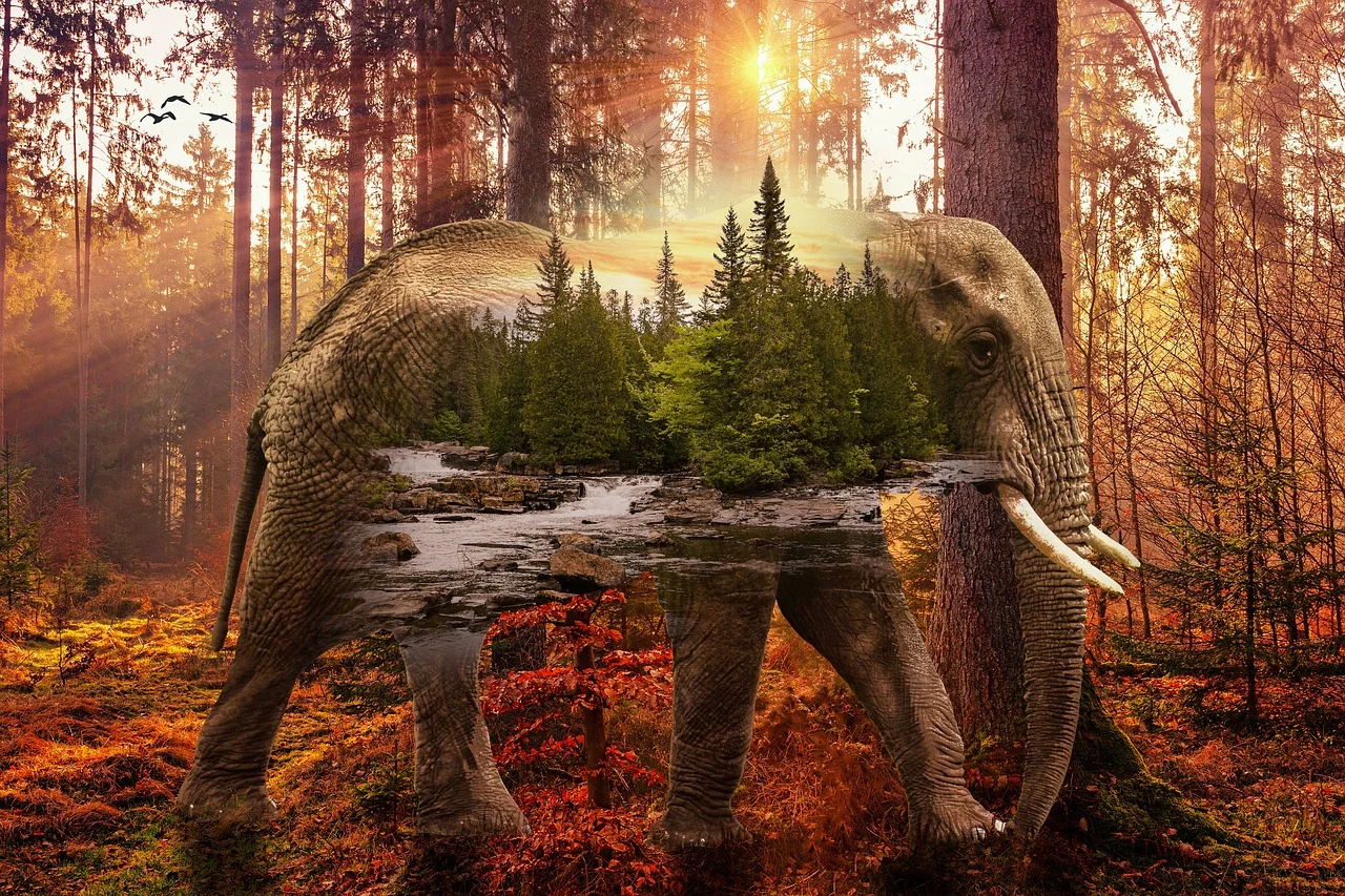 crini double sensation