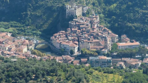 crini doria