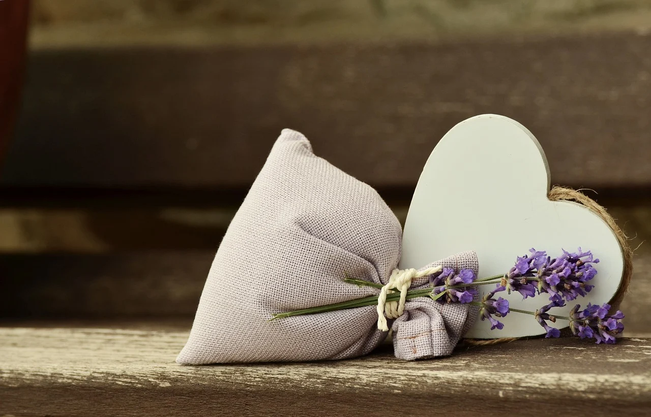 distanta plantare lavanda