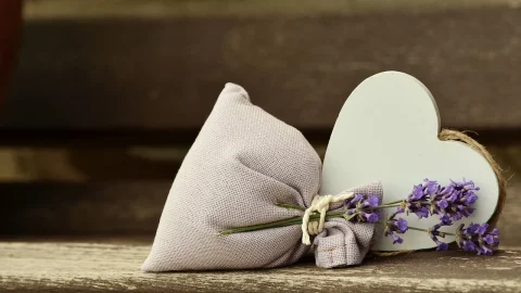lavanda salbatica