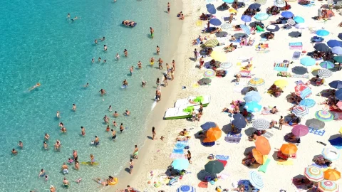 la ce distanta se planteaza vita de vie pentru bolta