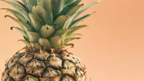 cultura de ananas