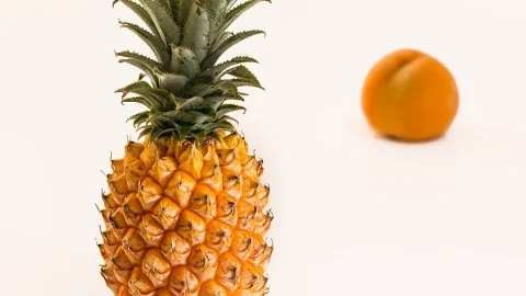 cultura de ananas in romania