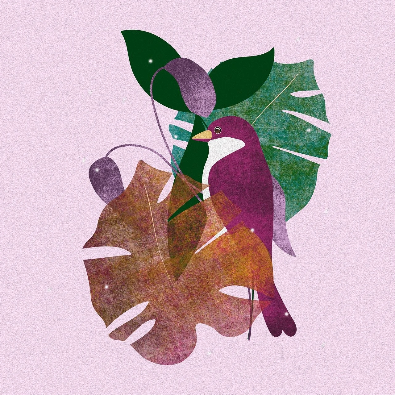 monstera thai constellation