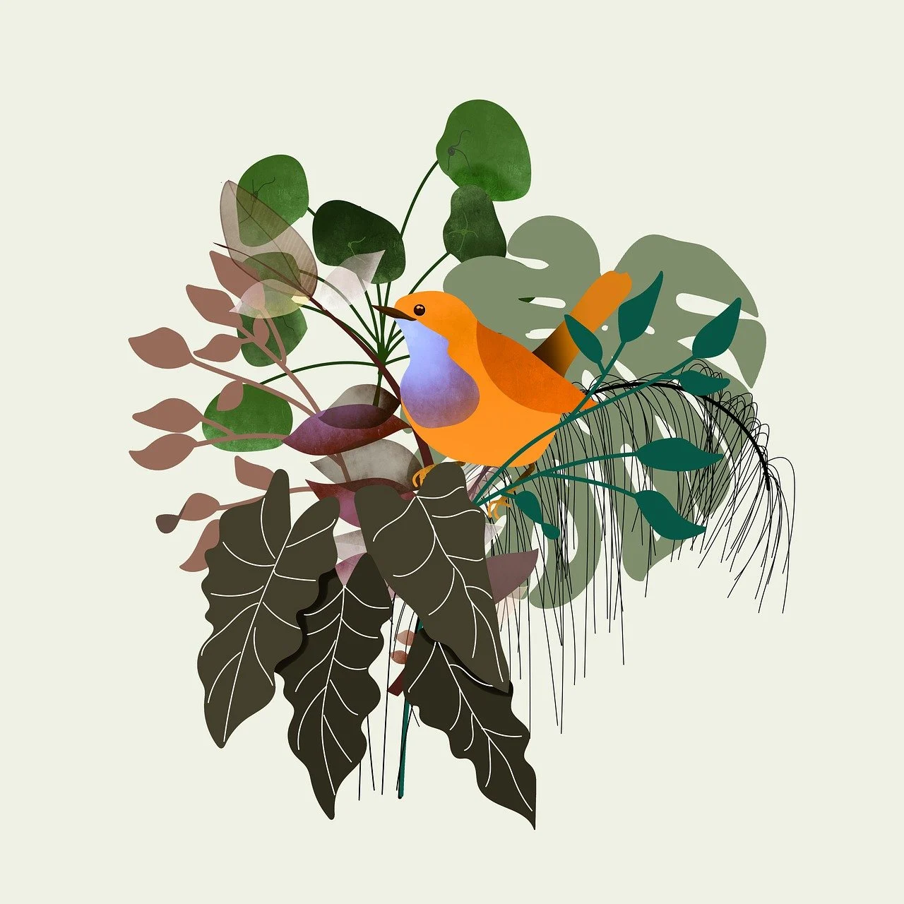 tipuri de monstera
