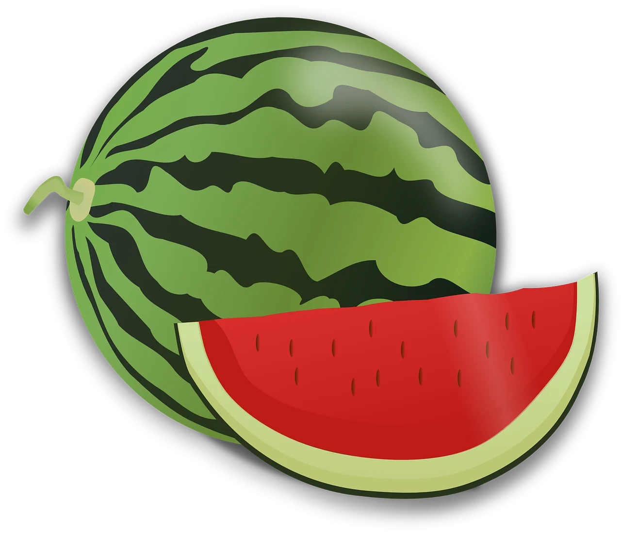 plantarea pepenilor