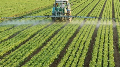 agricultura de subzistenta