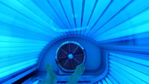 bolile ardeiului in solarii
