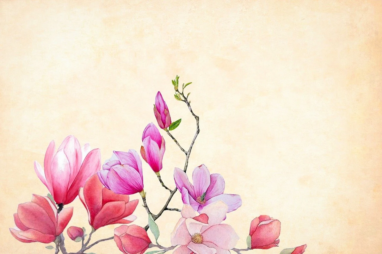 cand se planteaza magnolia in gradina