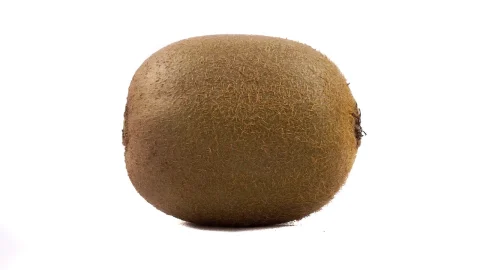 cand se planteaza kiwi