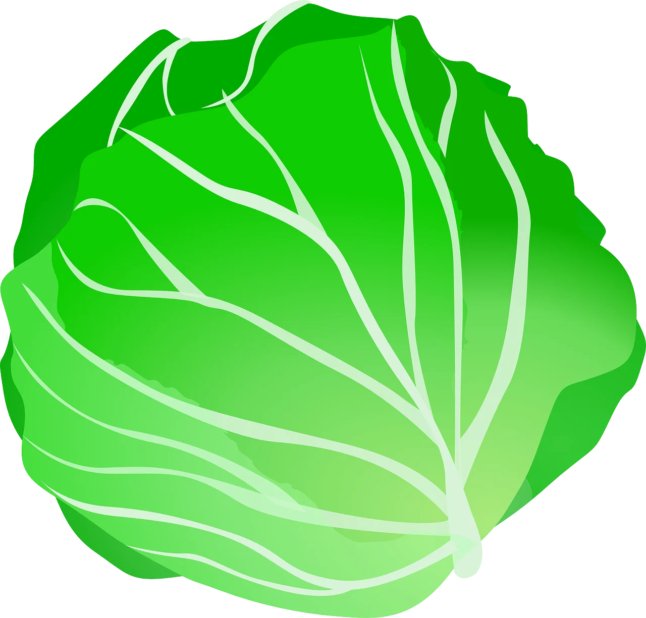 daunatori varza