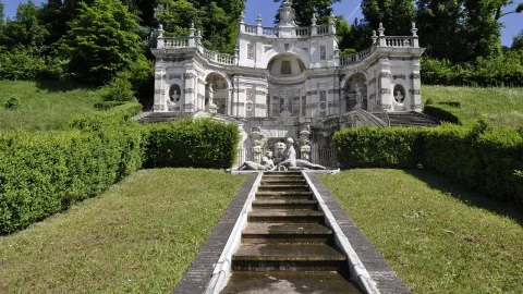 cand se planteaza regina noptii
