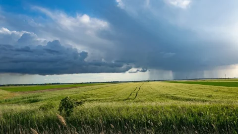 tipuri de agricultura