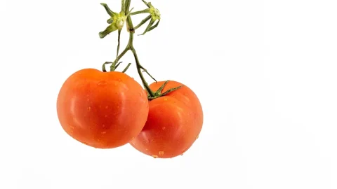 cele mai gustoase soiuri de rosii