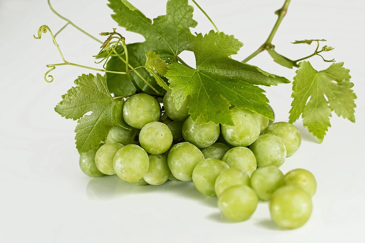 soiuri de struguri negrii pentru vin