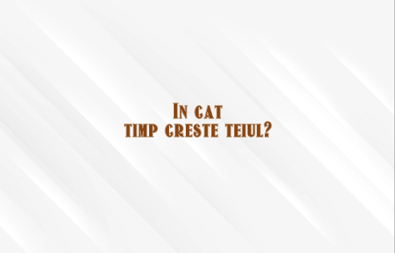 in cat timp creste teiul