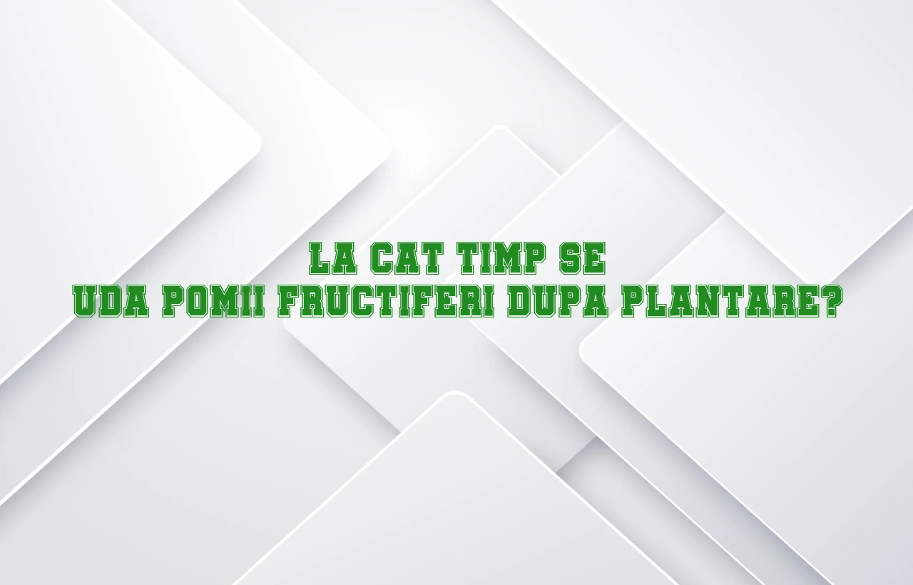 la cat timp se uda pomii fructiferi dupa plantare