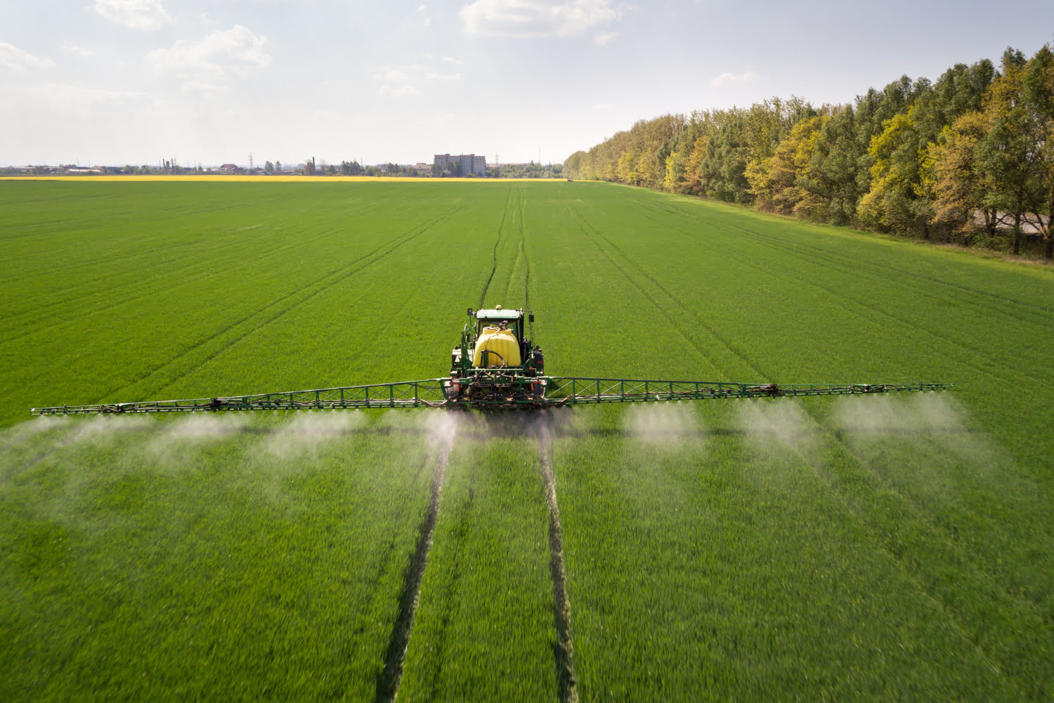 Agri News - Știri și Sfaturi din Lumea Agriculturii