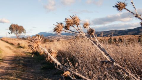 allan sharp tkbgbd8qtb8 unsplash
