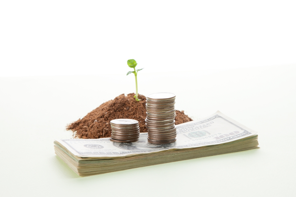 money,and,coins,stacked,on,cash,with,a,small,plant