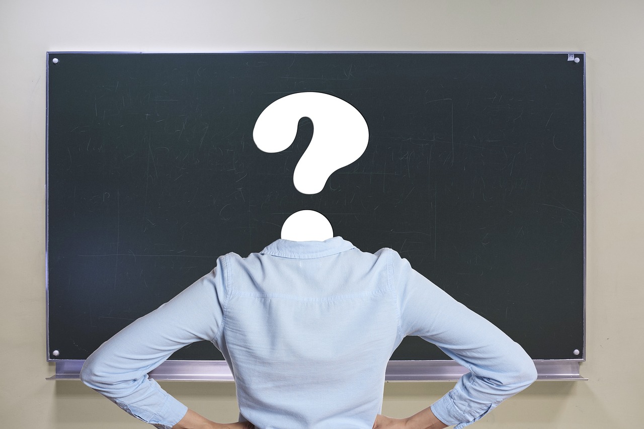 cultivarea ciupercilor in beci