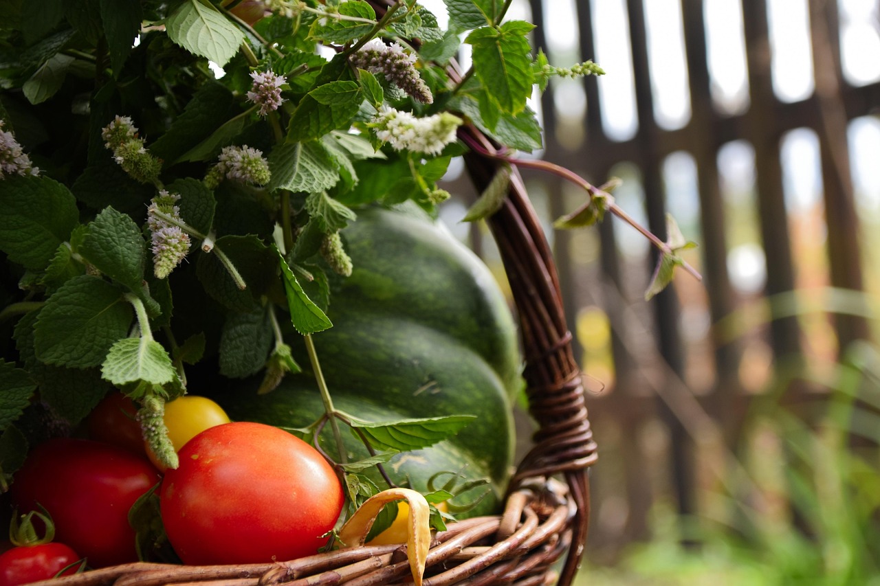 schema tratament tomate